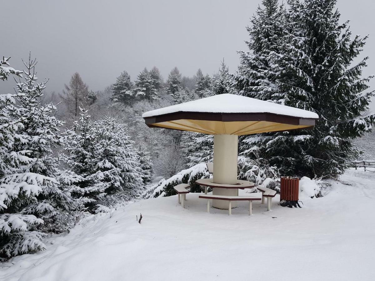 Domki I Pokoje U Ilony Krościenko Exterior foto